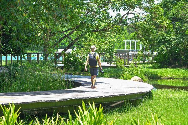 Free admission on Ecology Day