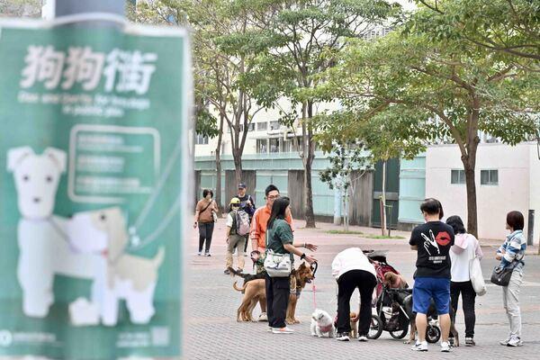 3 off-leash dog cases detected