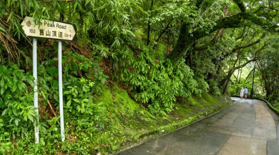 Old Peak Road