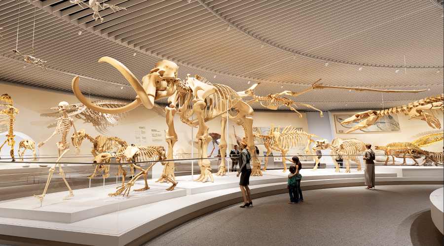 Evolution Hall