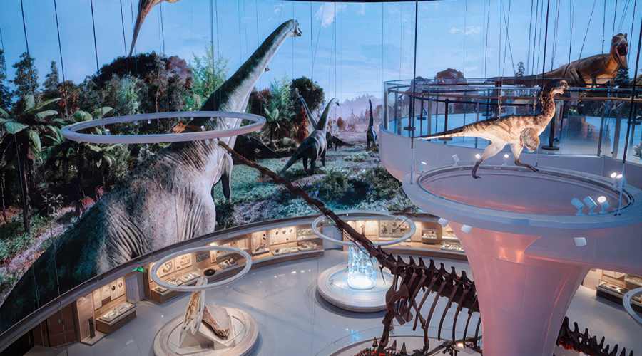 Dinosaur Hall